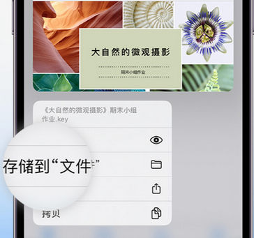 富源apple维修中心分享iPhone文件应用中存储和找到下载文件