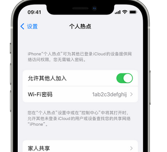 富源apple服务站点分享iPhone上个人热点丢失了怎么办 