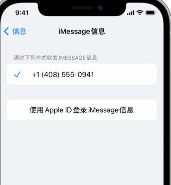 富源apple维修iPhone上无法正常发送iMessage信息 