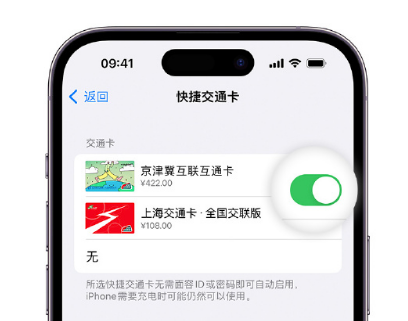 富源apple维修点分享iPhone上更换Apple Pay快捷交通卡手绘卡面 