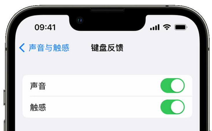 富源苹果手机维修分享iPhone 14触感键盘使用方法 