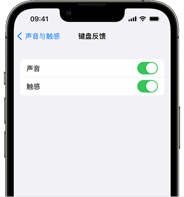 富源苹果14维修店分享如何在 iPhone 14 机型中使用触感键盘 