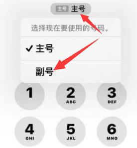 富源苹果14维修店分享iPhone 14 Pro Max使用副卡打电话的方法 