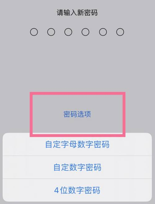 富源苹果14维修分享iPhone 14plus设置密码的方法 