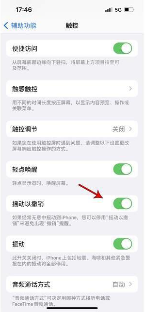 富源苹果手机维修分享iPhone手机如何设置摇一摇删除文字 